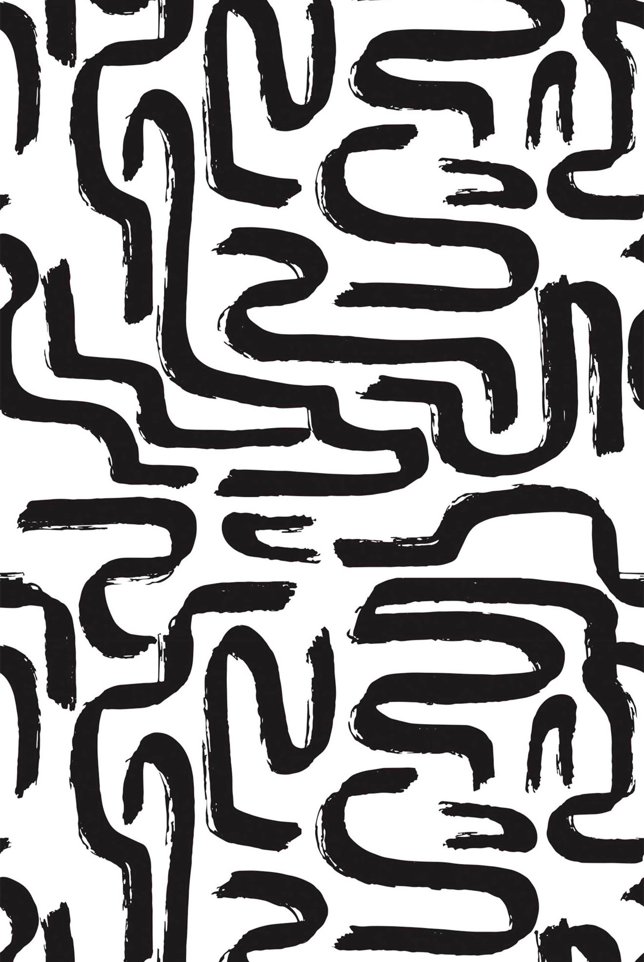 White and black maze