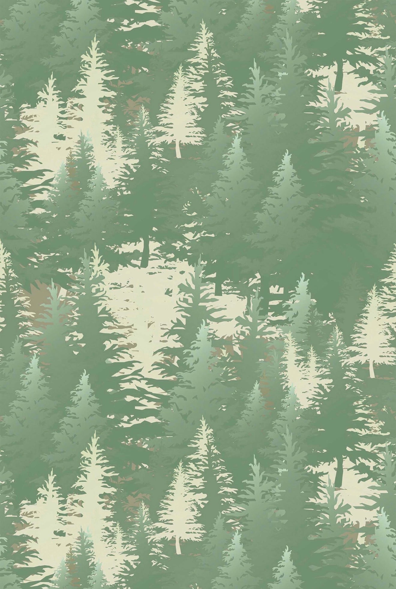 Evergreen Silhouette