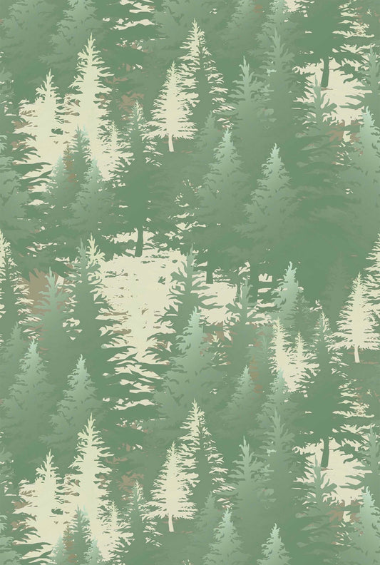 Evergreen Silhouette