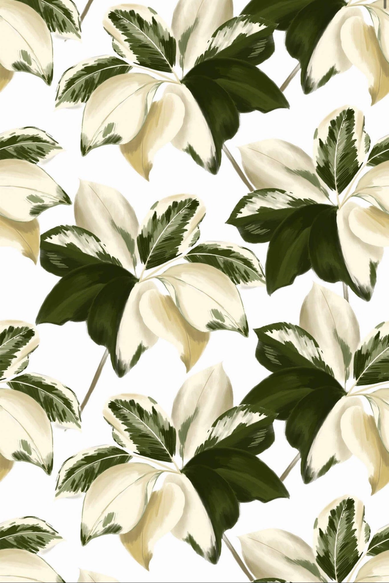 Olive & Ivory
