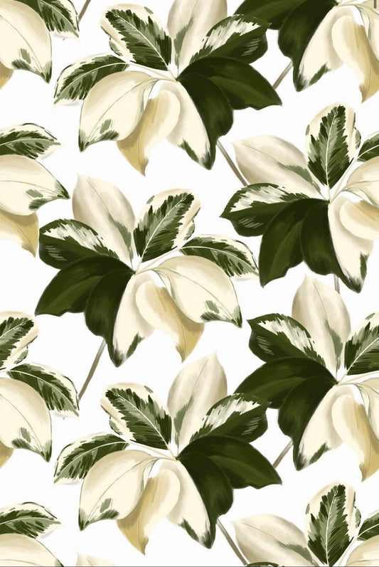 Olive & Ivory