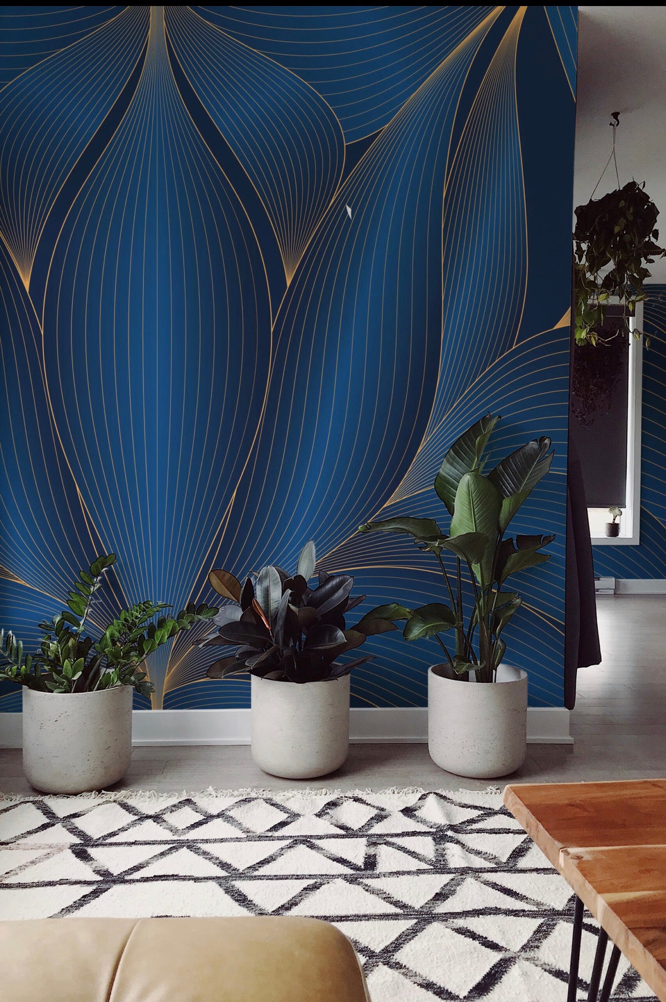 Midnight water Lilly